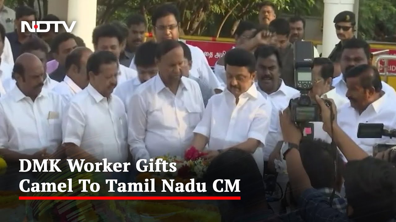 As MK Stalin Turns 70, Birthday Wishes With a Side Of Opposition Unity