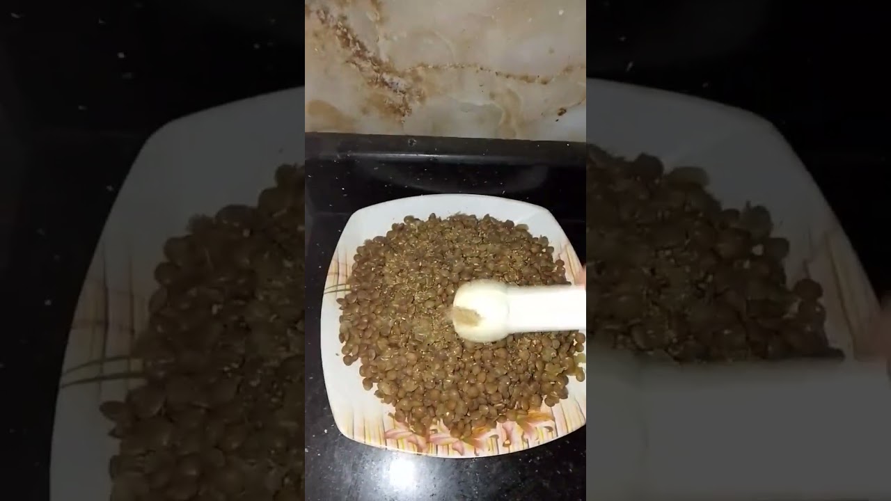 طريقه عمل الكشرى المصرى الجميل مع عيش محمص وشويه سلطه كدة على الماشى 