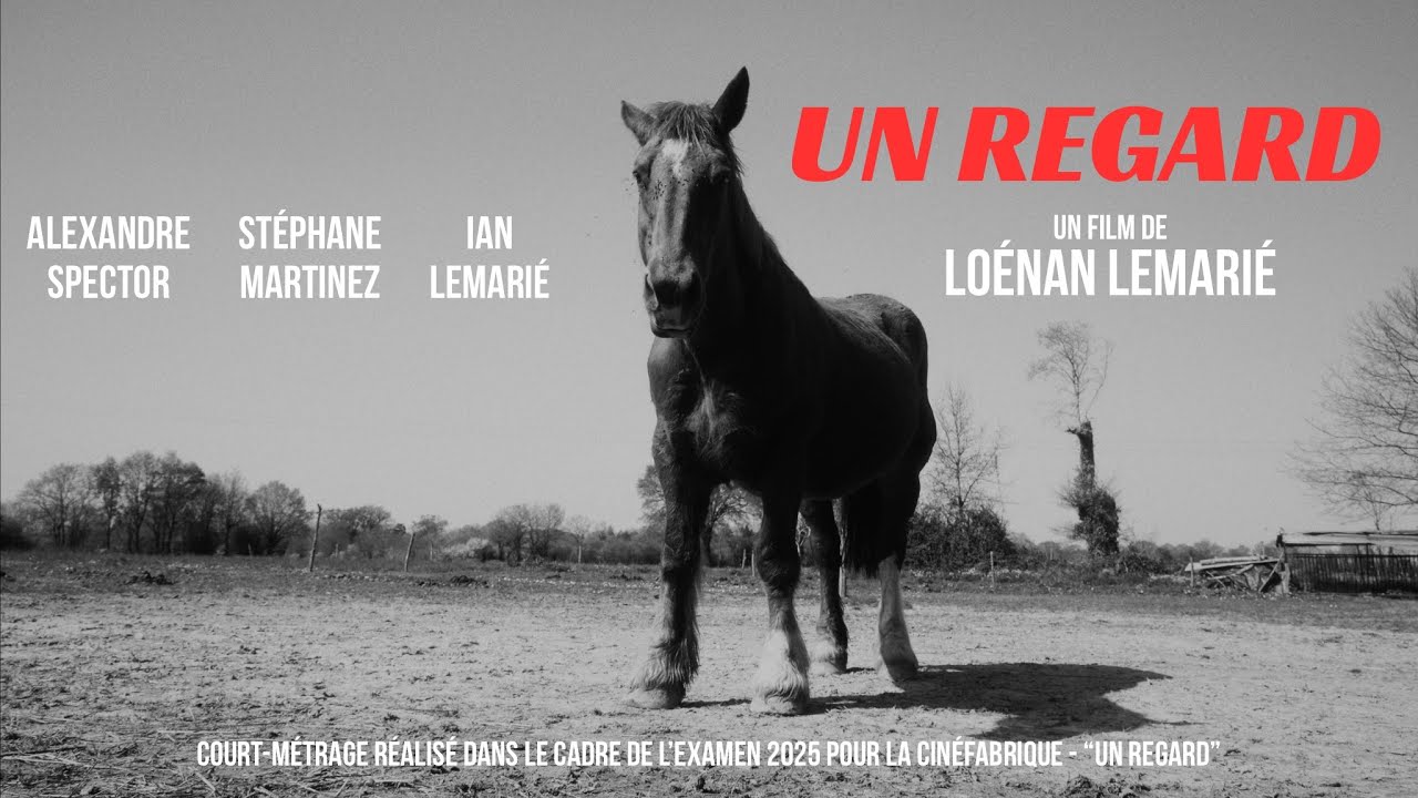 [court-métrage] UN REGARD réalisé dans le cadre de l’examen pour la CinéFabrique par Loénan Lemarié