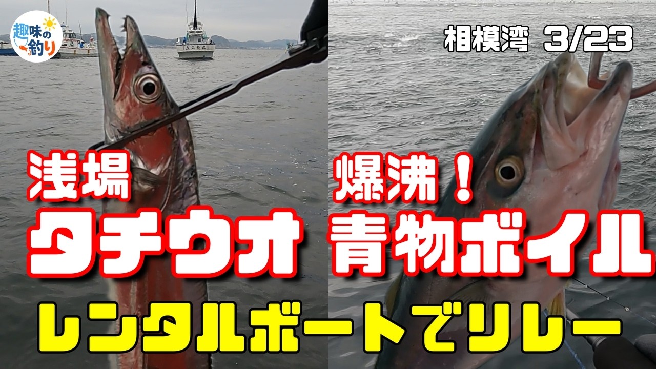 【相模湾】海面が沸騰した。浅場のタチウオから南下した先に激アツのボイル遭遇！【レンタルボートリレー釣行】