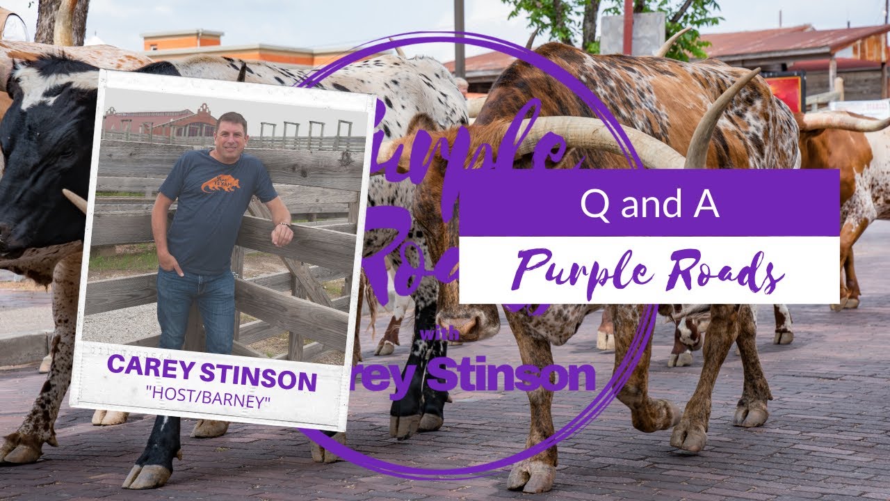Purple Roads Live | Q & A