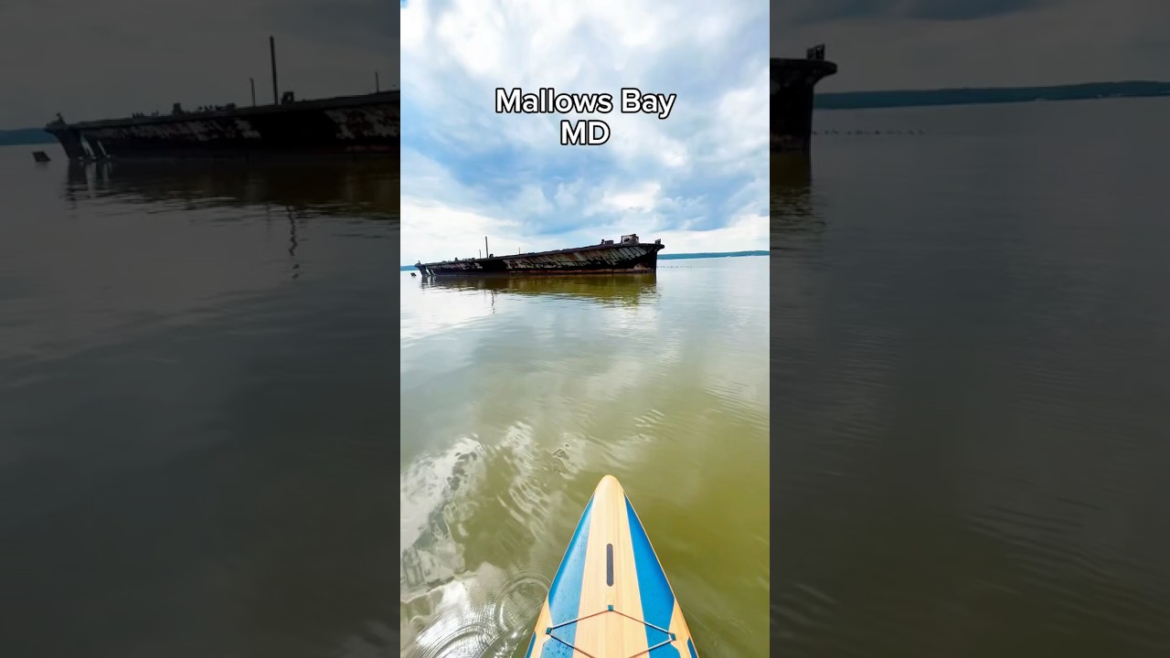 Ghost Fleet at Mallows bay in Maryland