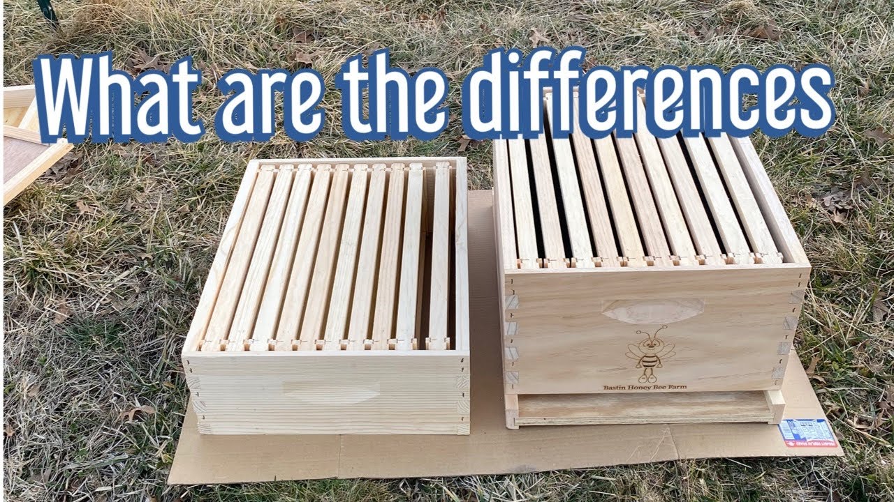 Differences between a brood box and a super