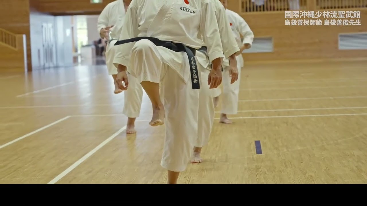 SEIBUKAN SEMINAR MAE GERI (FRONT KICK)