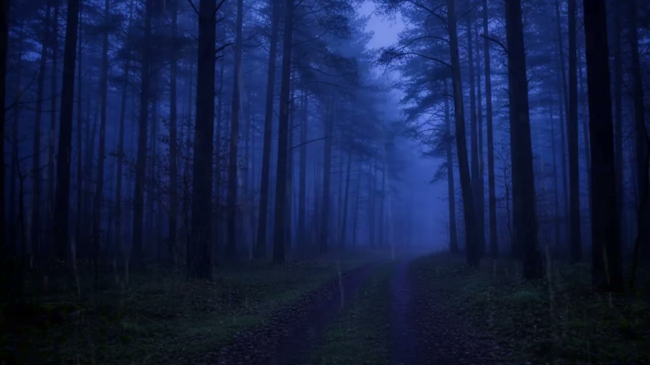 Healing After a Long Day: Music to Wash Away Stress and Tension