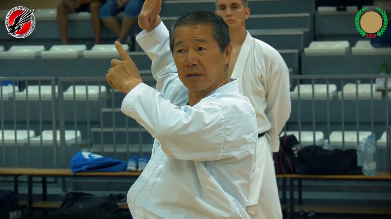 Shihan Masao Kagawa-JKS Hungría 2019 #Karate #JKS #Kagawa