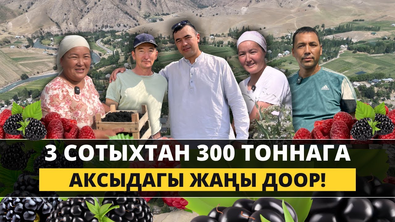 Классташтар айыл турмушун кантип өзгөрттү?