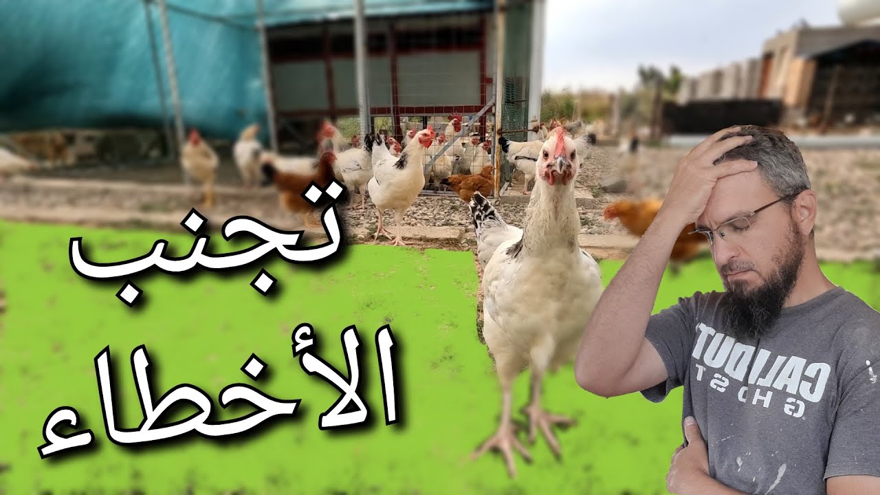 (137)تجنب بعض الأخطاء التي ارتكبتها في بناء البيت و إنشاء المزرعة ، التحضيرات لحصاد الشعير