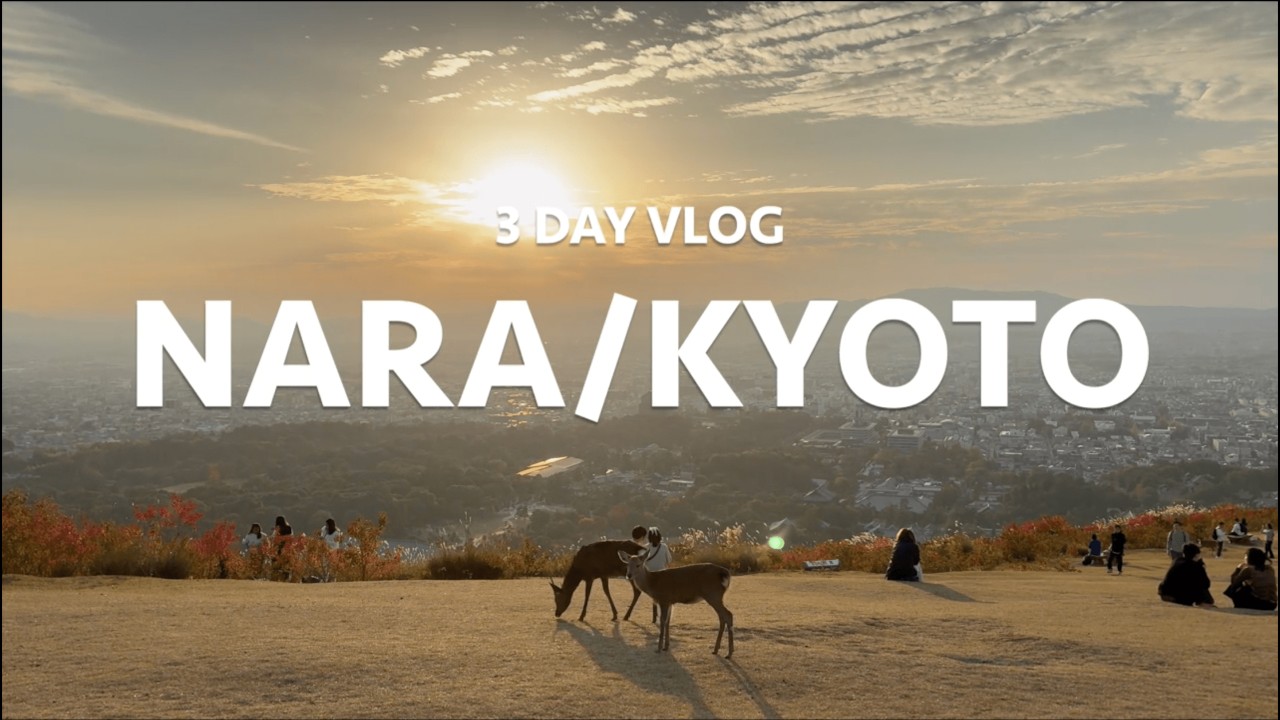 3 DAY VLOG NARA/KYOTO | JAPAN VLOG