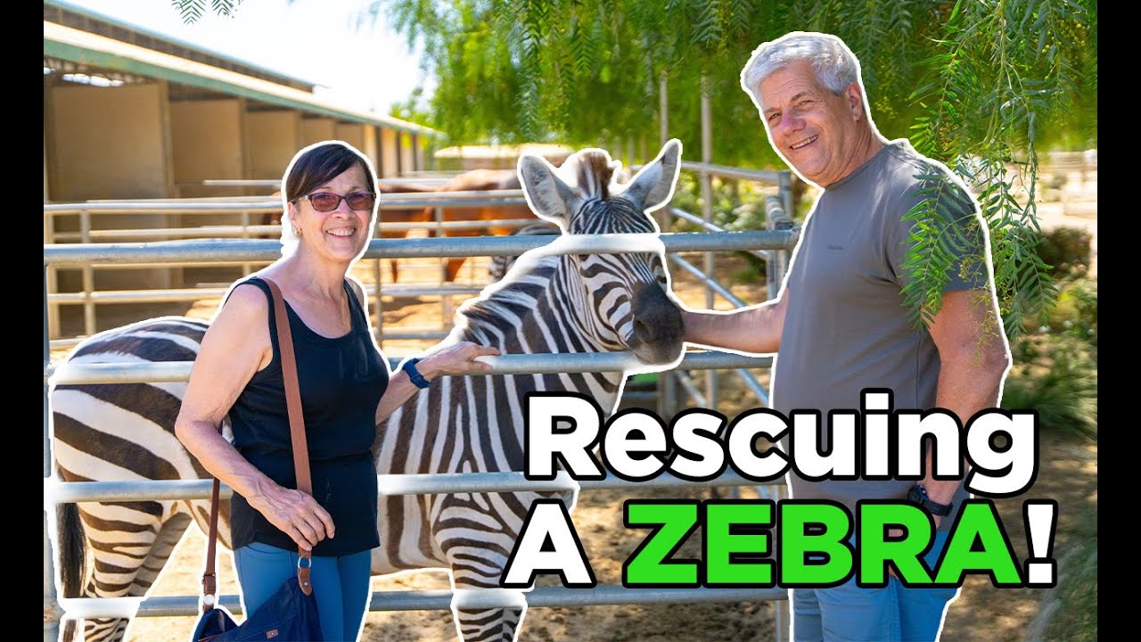 We Rescue Wild Animals with YOUR Help!  | Ep  58