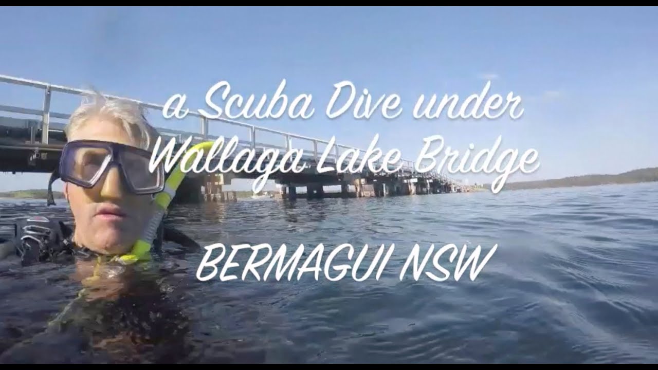 Wallaga Lake Bridge Scuba Dive