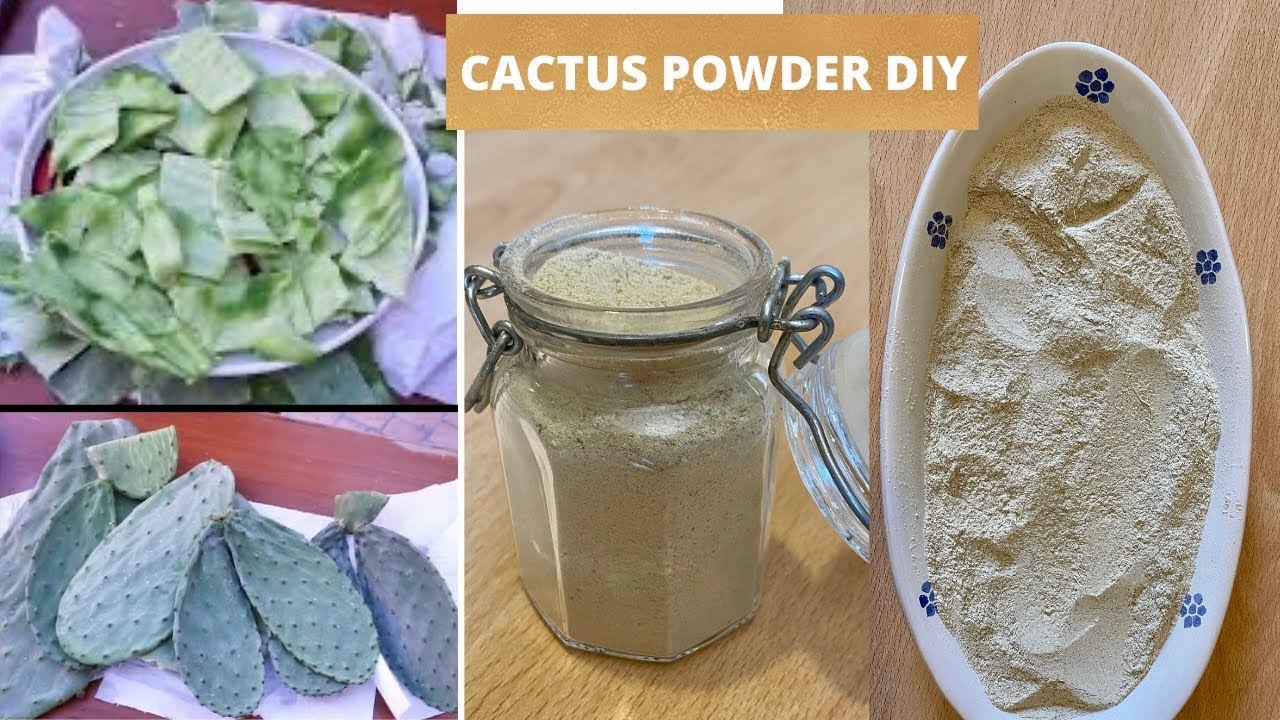 How to Make Cactus Powder For Hair and Body Diy