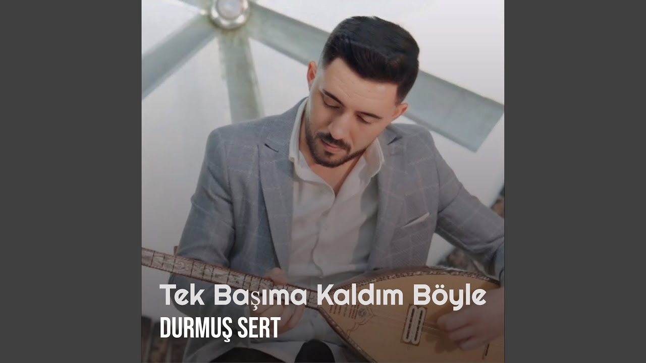 Tek Başıma Kaldım Böyle