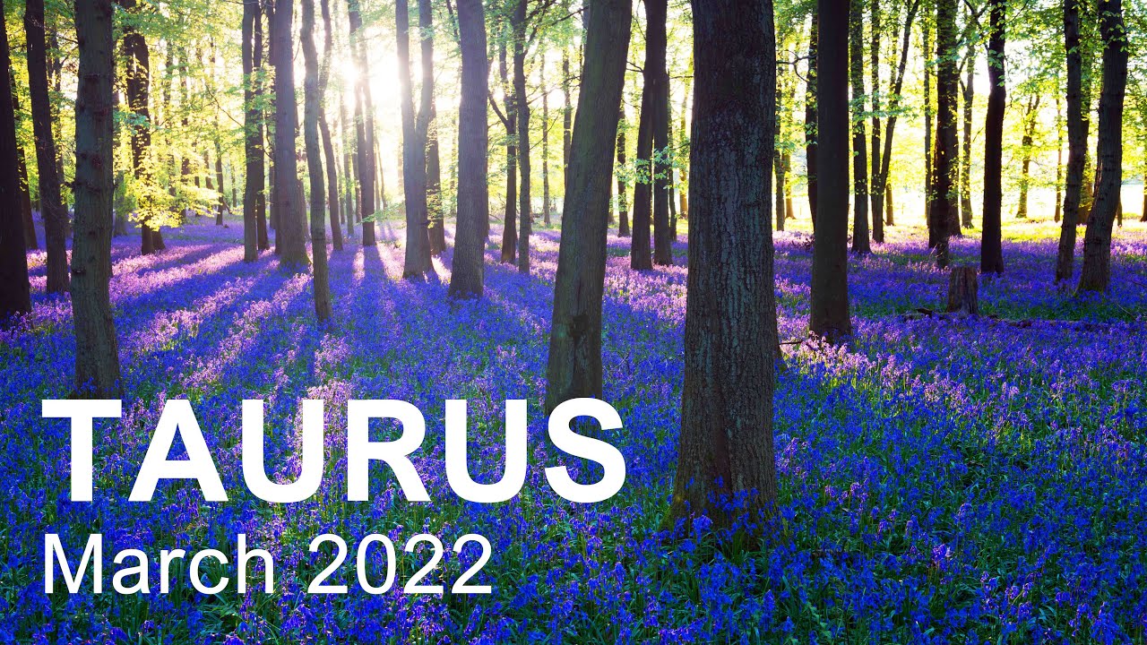 TAURUS MARCH 2022 TAROT READING 