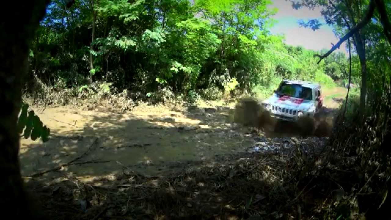 Tereprally, Domony (előzetes)