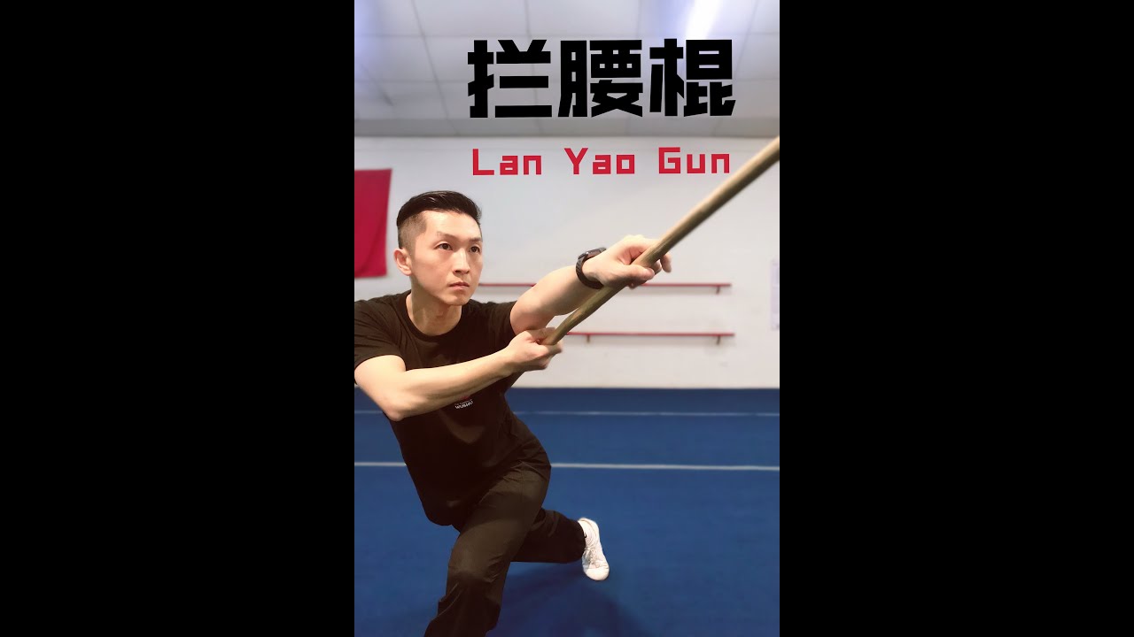 Wushu Kung Fu Dia 209 Gunshu Palo/Bastón Nivel Avanzado 1
