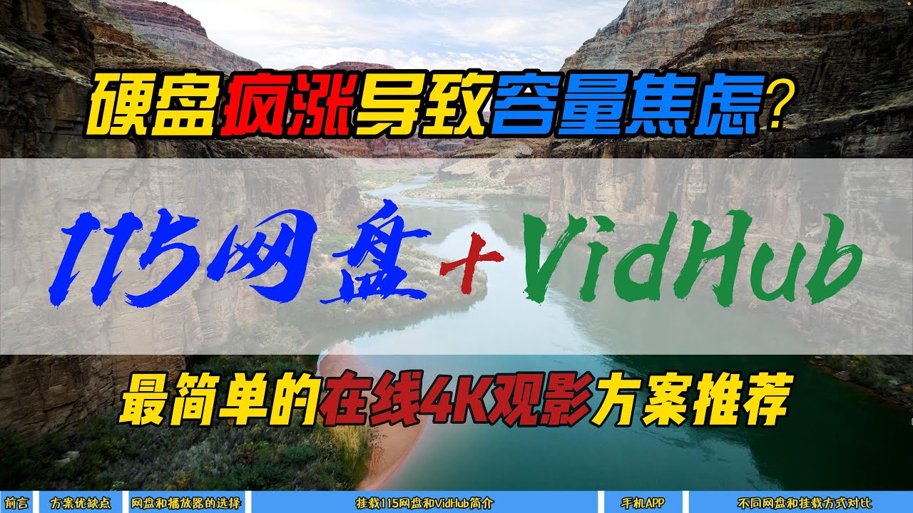 硬盘疯涨导致容量焦虑？115网盘+VidHub～最简单的在线4K观影方案推荐