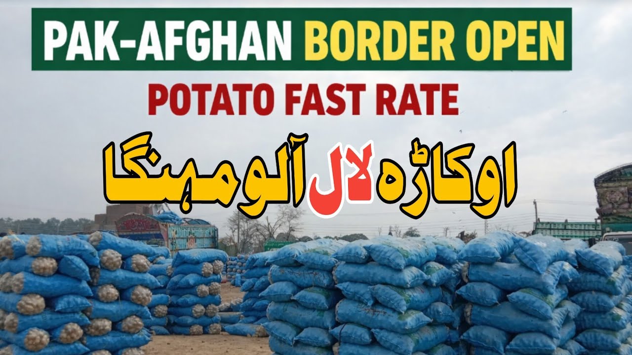 Pak Afghan Border Open? | Potato Fast Rate Today | Torkham Border Latest Update