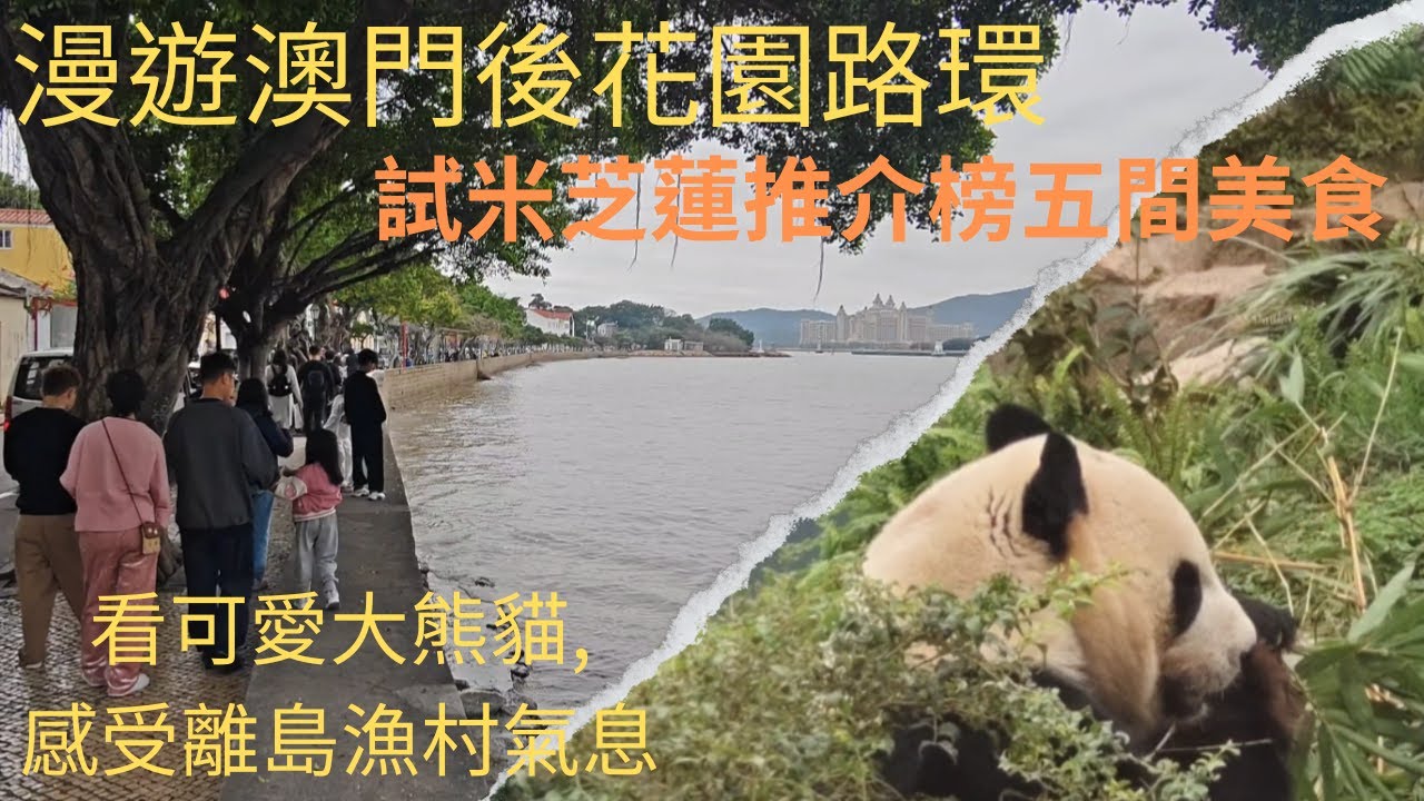 澳門路環半日遊 | 熊貓館 | 米芝蓮推介美食 | 親子舊船廠 | 路環美食 | 陳勝記 | 安德魯咖啡室 | 氹仔美食 | 世記咖啡 | 阿曼諾葡國餐廳 | 晃記杏仁餅 | cc字幕 | 4k畫質