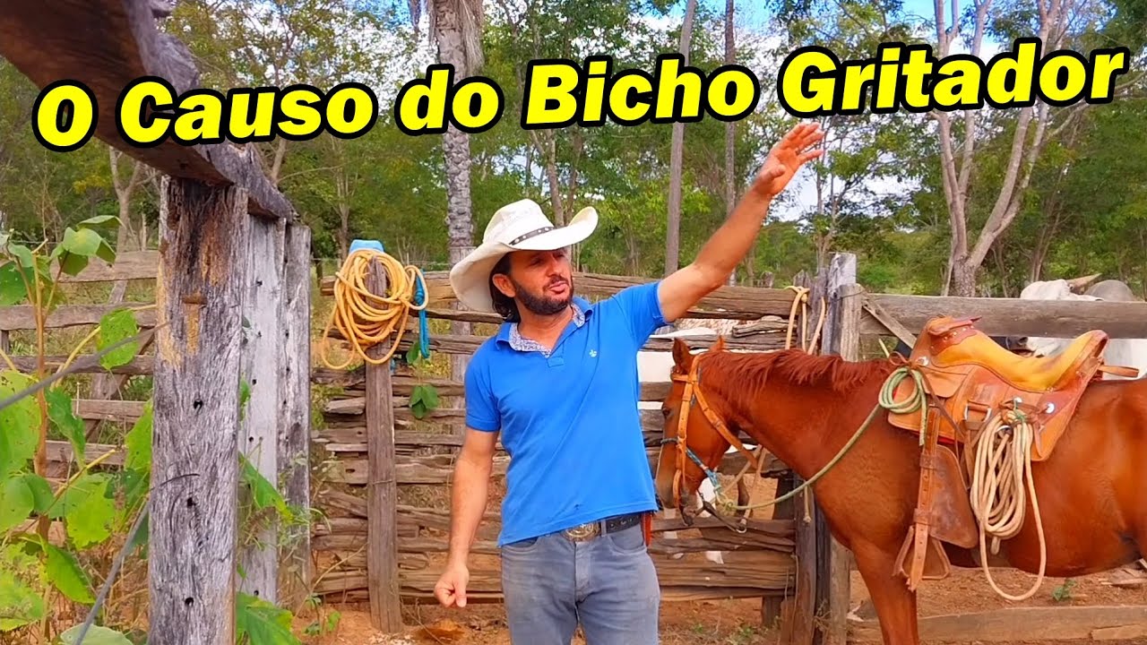 O Causo do Bicho Gritador
