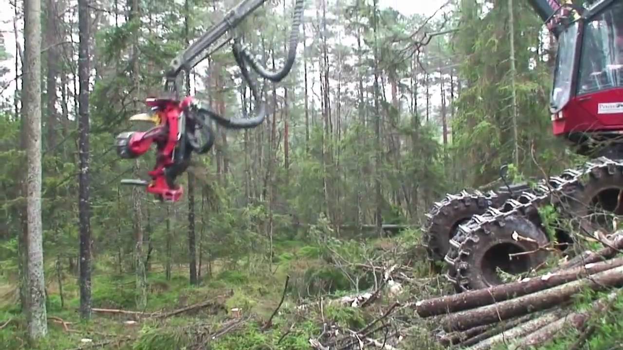 SP 561 LF on Valmet 911.X