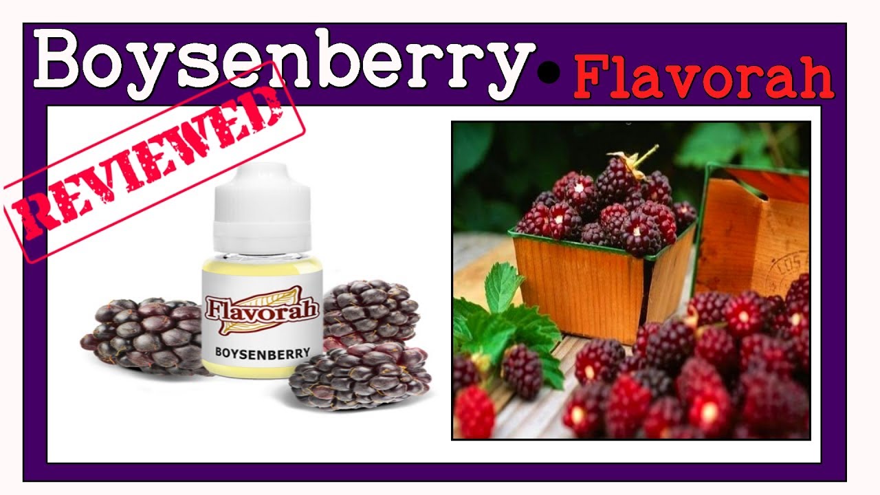 BoysenBerry - Flavorah Review [Solo Ratios  + Notes](Berry Booster FLV diy)