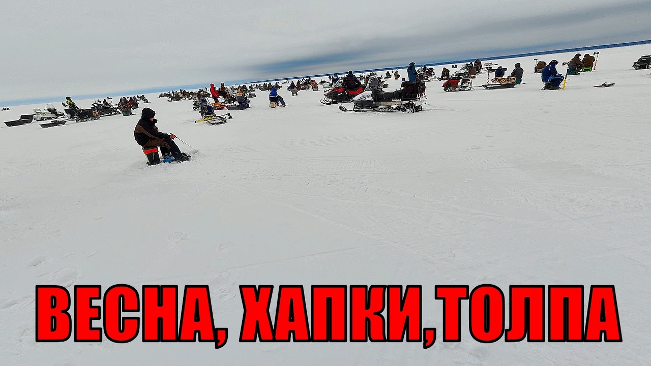 ТУТ ДАЖЕ РЫБА в ШОКЕ ! ПОСЛЕДНИЙ ЛЁД 2026 ! ТОЛПА ГОНИТ РЫБУ!