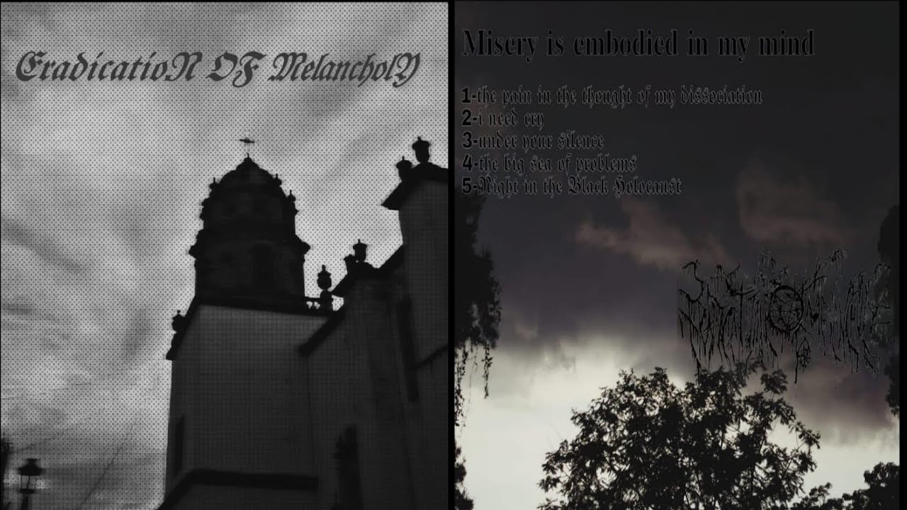 1-the pain in the thougth of my dissociation-misery is embodied in my mind