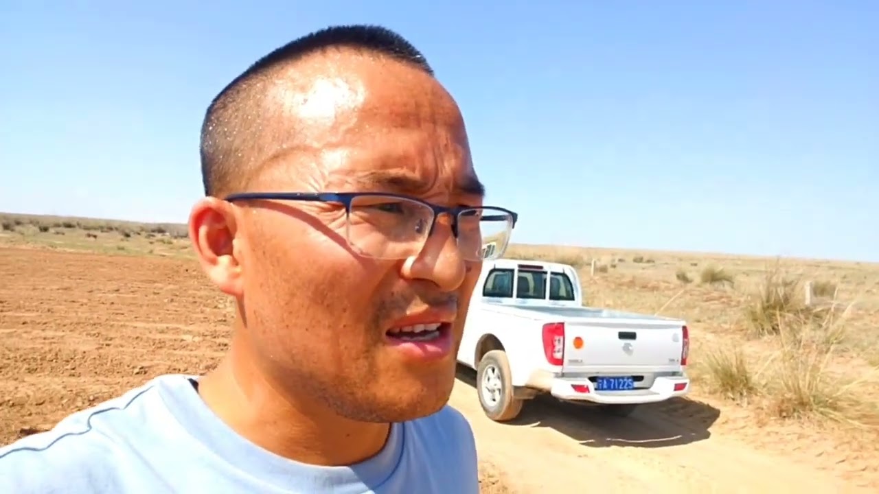 干旱成为养羊最大的障碍！干地种玉米，今年赌一把#三农 #我的乡村生活 #盐池滩羊难得一尝 #农村生活 #优质农产品 #新农人计划 #记录真实生活