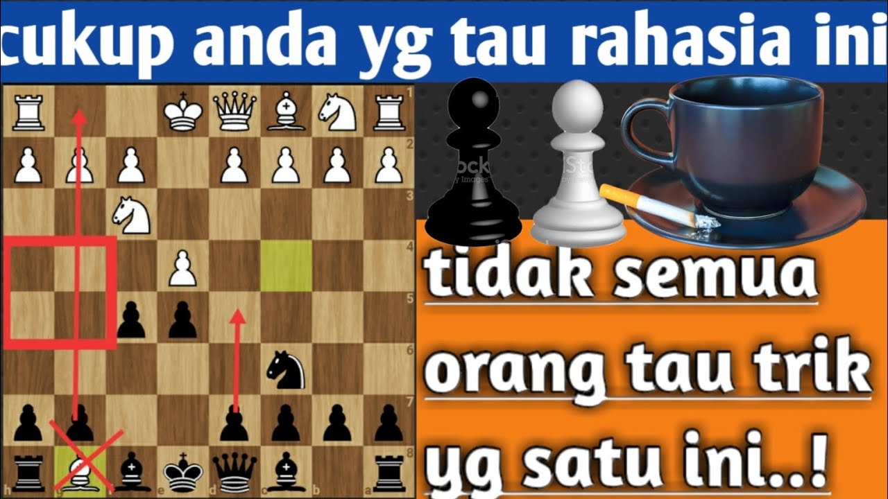 Opening Semua Gambit khusus Pencatur Tingkat tinggi? Master Catur