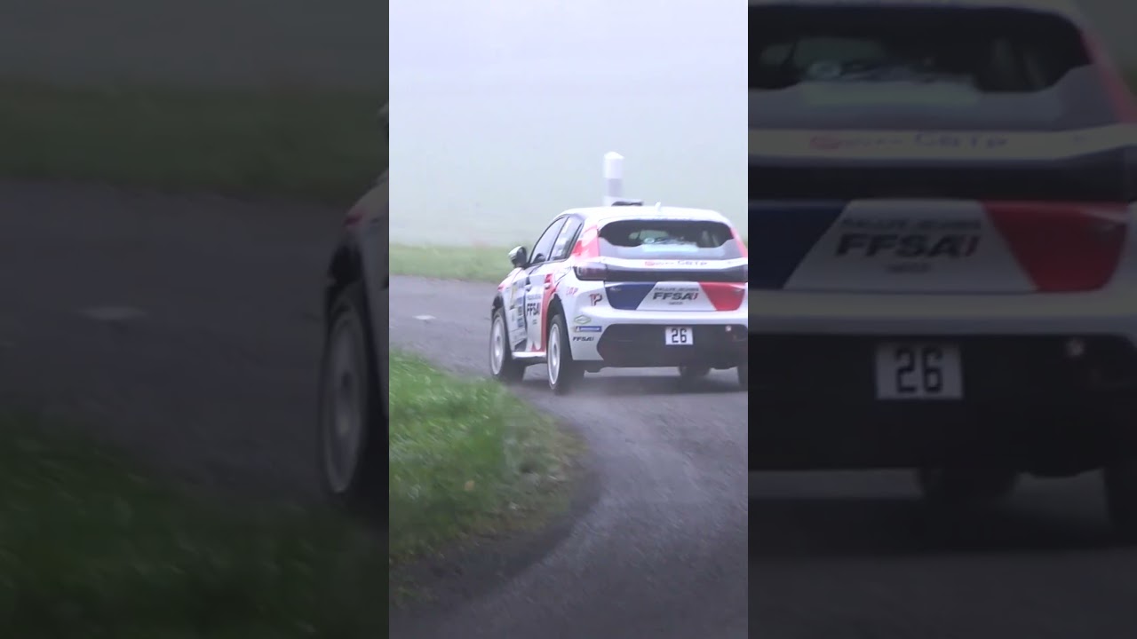 BEST of RALLY 2025 - FLAT OUT & CRASH - CRV