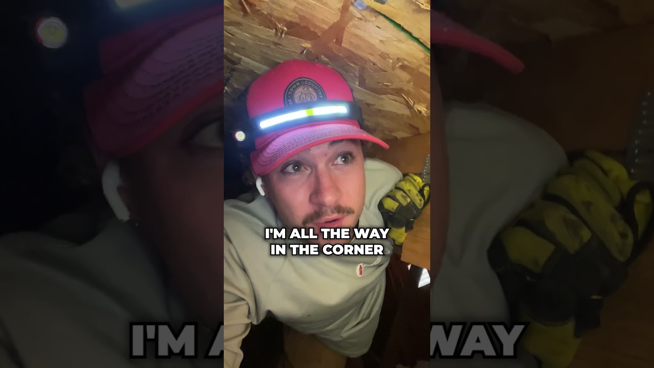 Day In The Life of a Wildlife Technician | Flying Squirrel Inspection 🧐