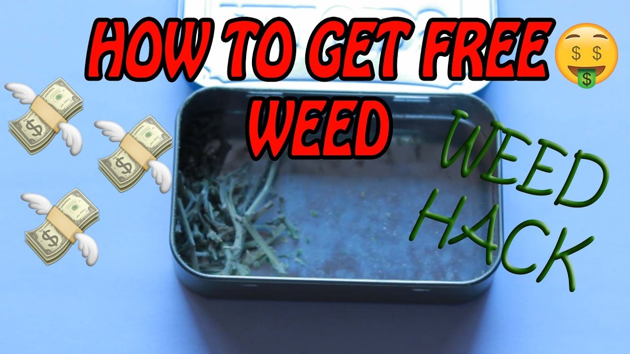 WEED HACK - HOW TO GET FREE WEED