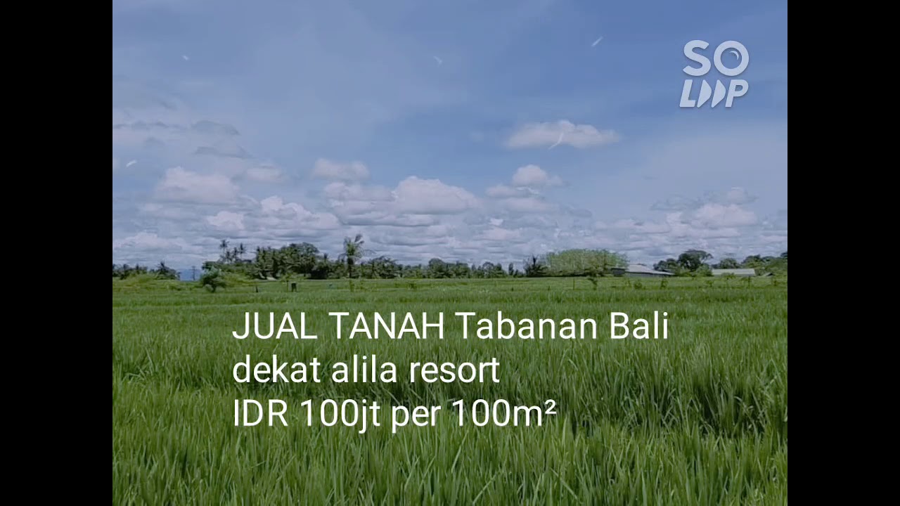 jual murah tanah lokasi kelating Tabanan dekat tanah lot dekat alila resort