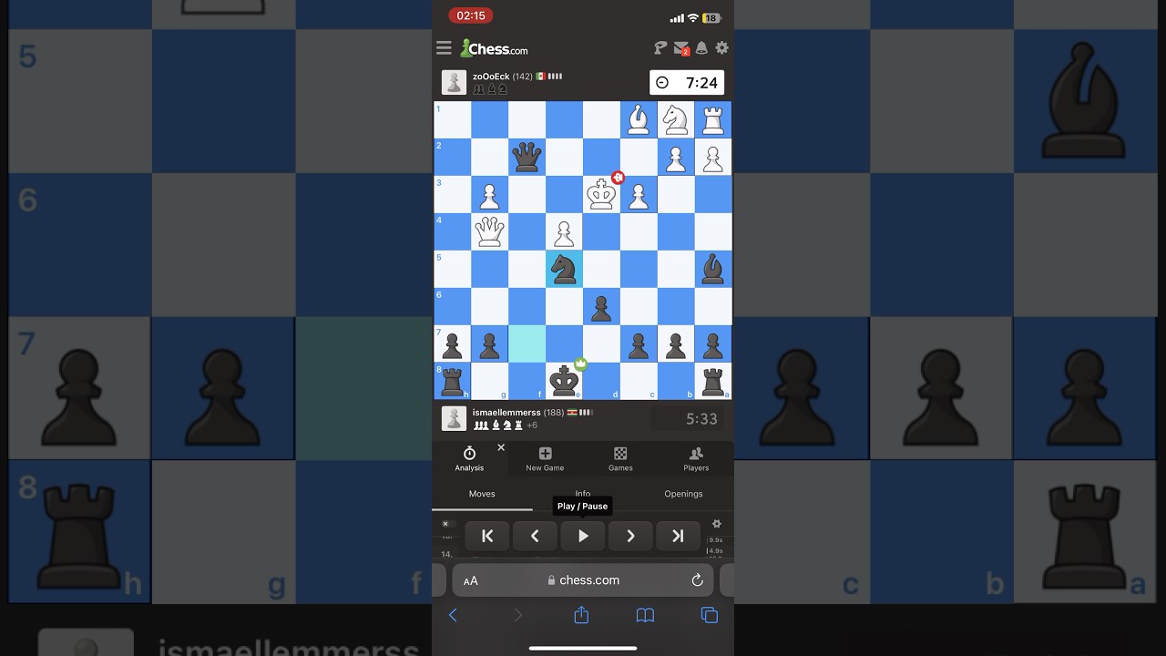 Beautiful Checkmate