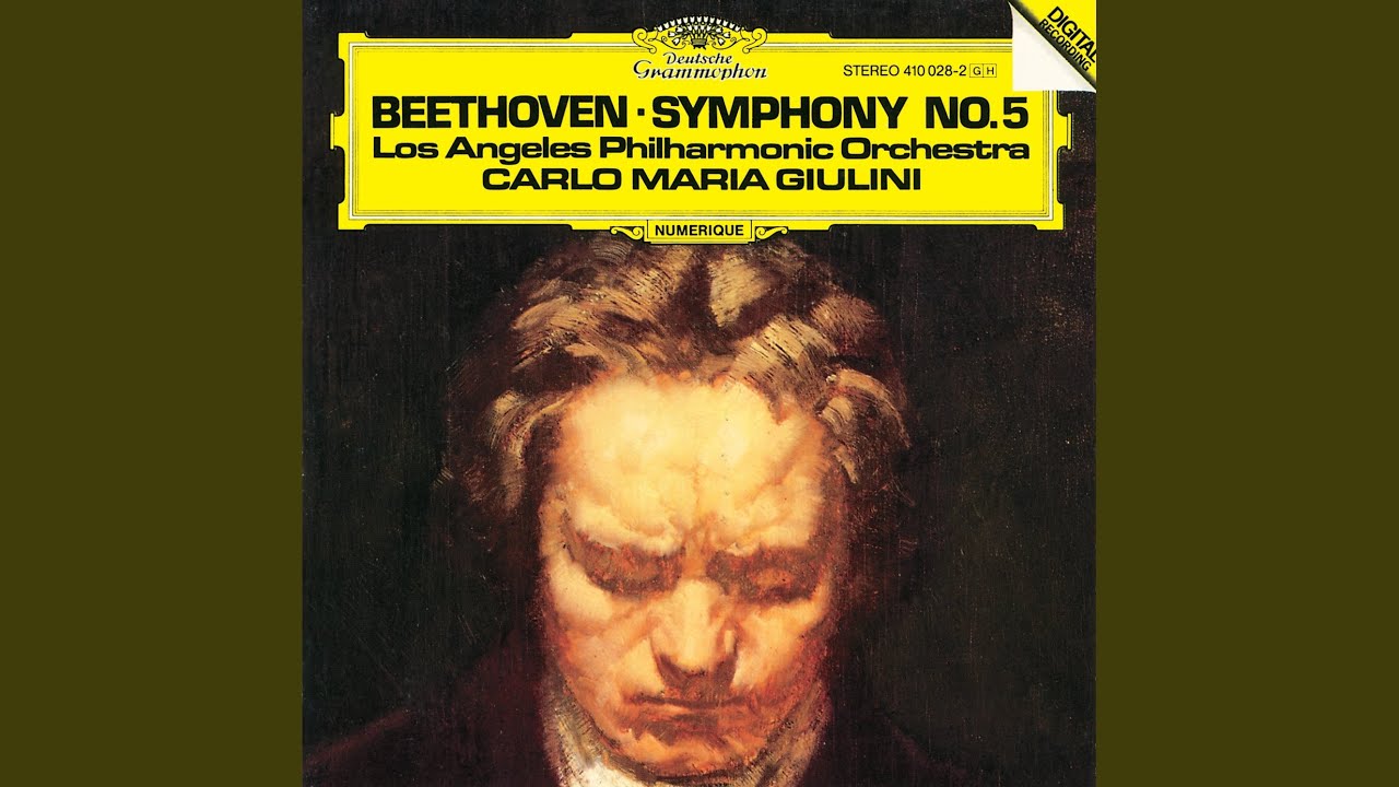 Beethoven: Symphony No. 5 in C Minor, Op. 67: II. Andante con moto