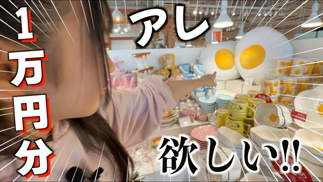 欲しい‼️これも欲しい‼️フライングタイガーで欲しいものを今回もゲット出来るのか!?