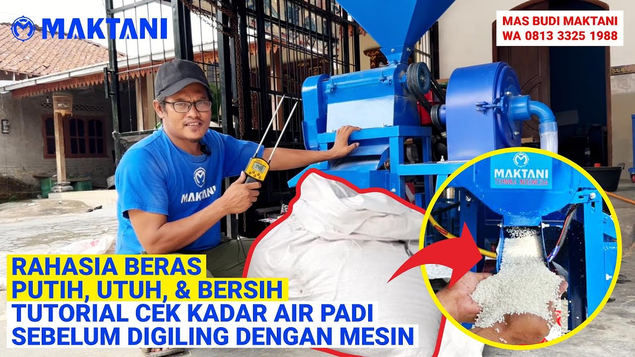 RAHASIA Beras Putih, Utuh, & Bersih MAKTANI - Tutorial Cek Kadar Air Padi Sebelum Digiling Mesin