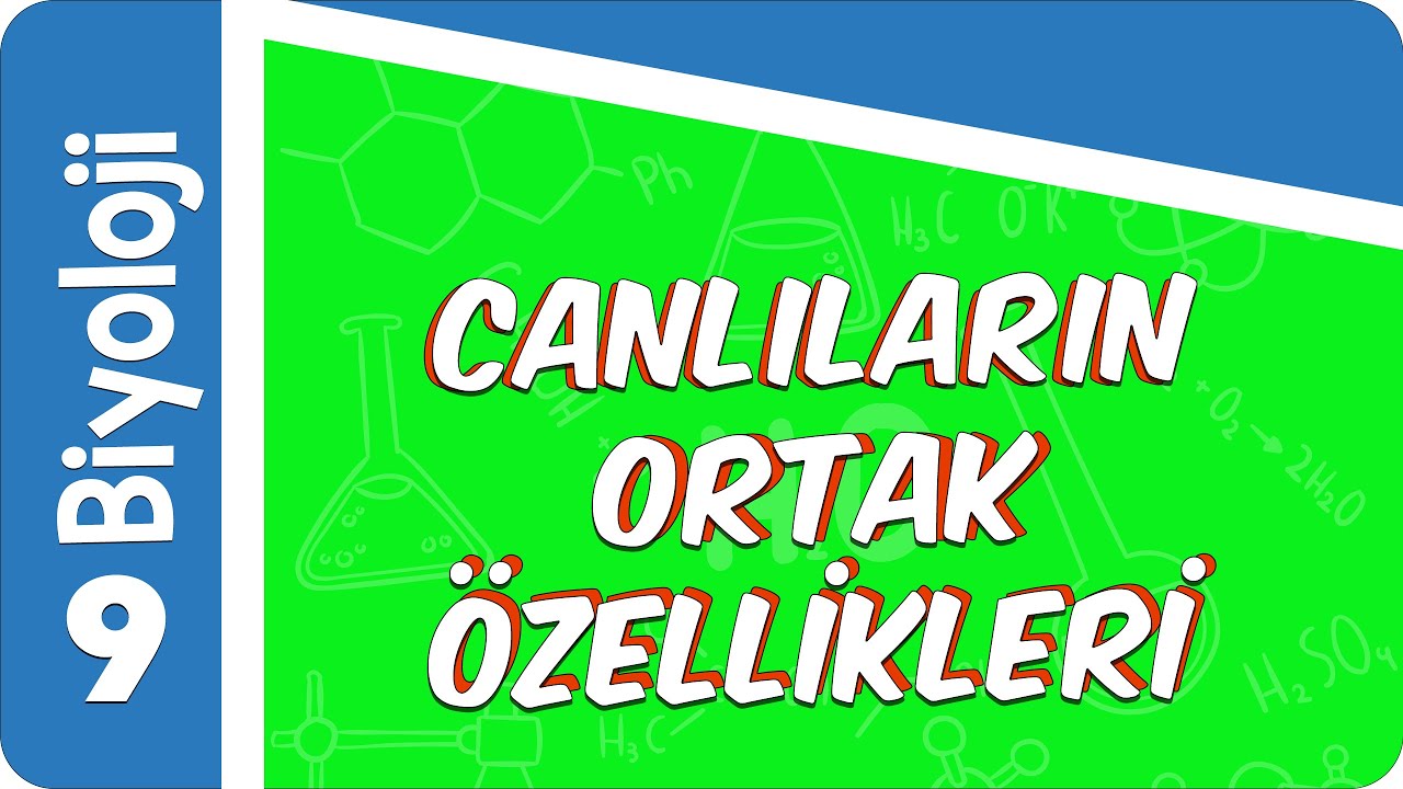 9. Sınıf Biyoloji: Canlıların Ortak Özellikleri #2022