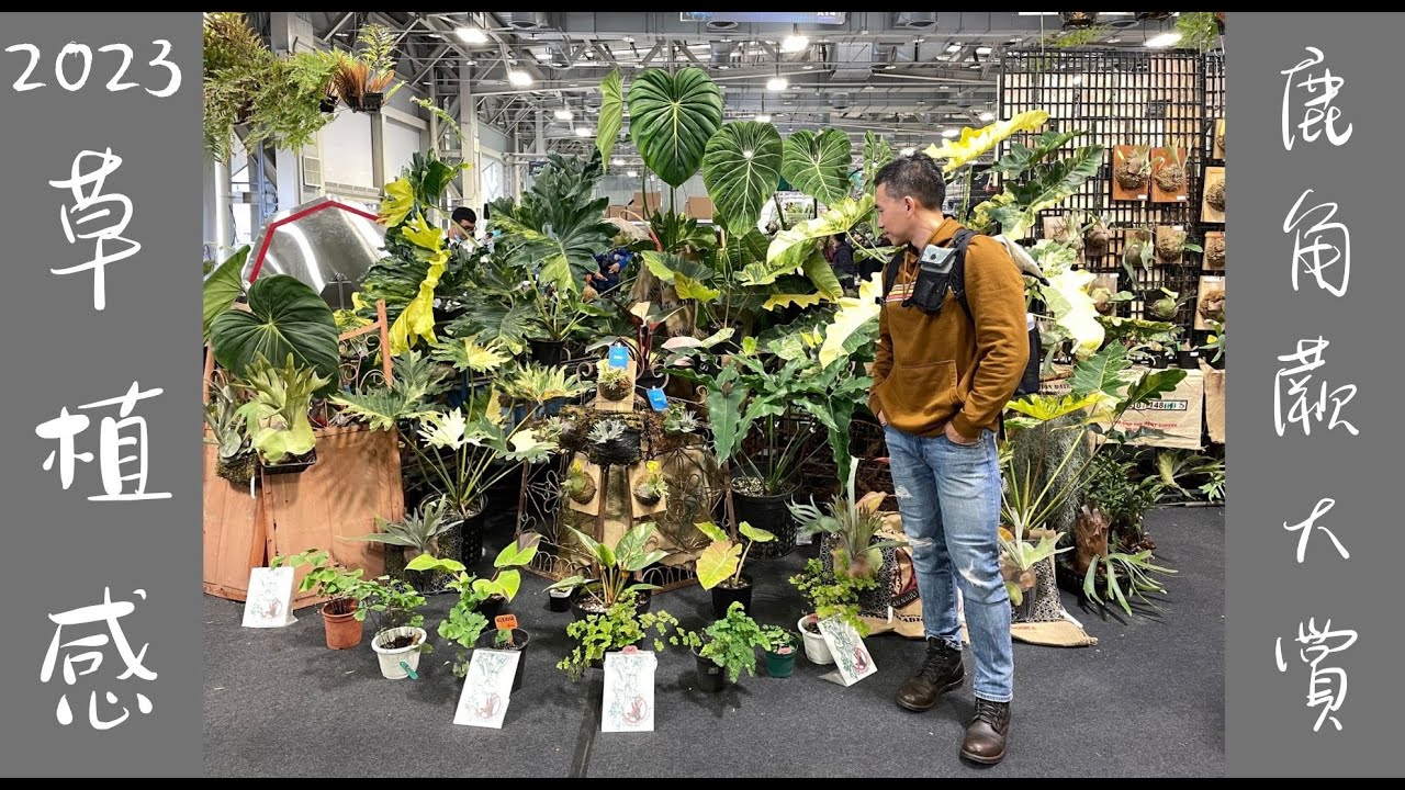 跟著沙叔逛～ 2023花博艸植感｜鹿角蕨大賞｜看神仙打架｜超美白龜～