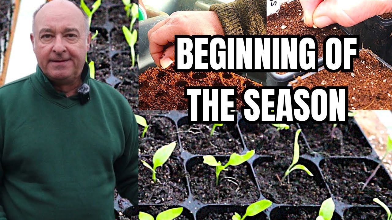Jump Start Your Garden: February Sowing Week 1
