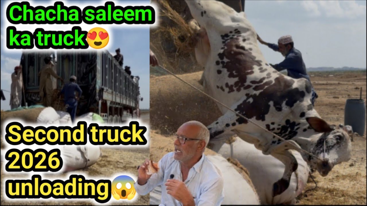 Chacha saleem ka truck arha😱| Second truck unloading 2026😍
