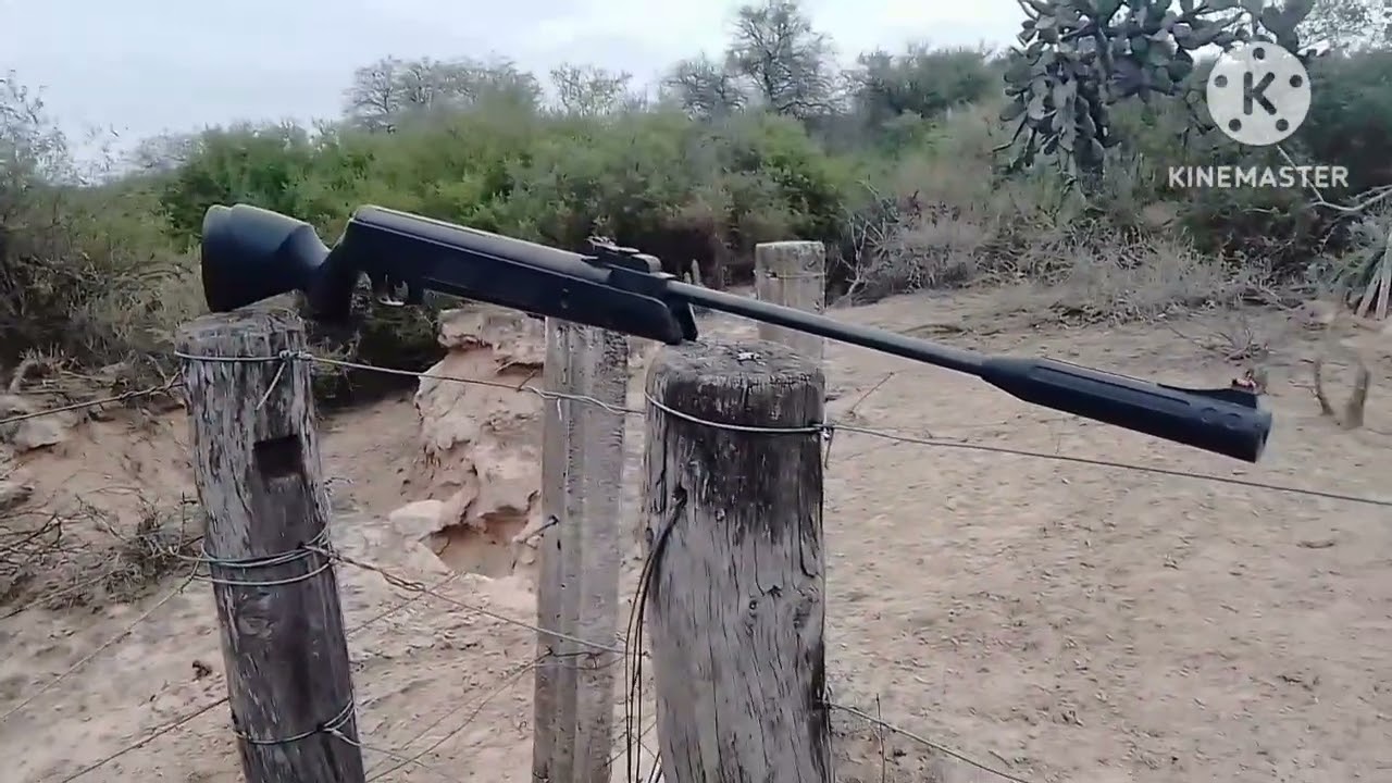 Recorriendo el Monte santiague&ntilde;o 