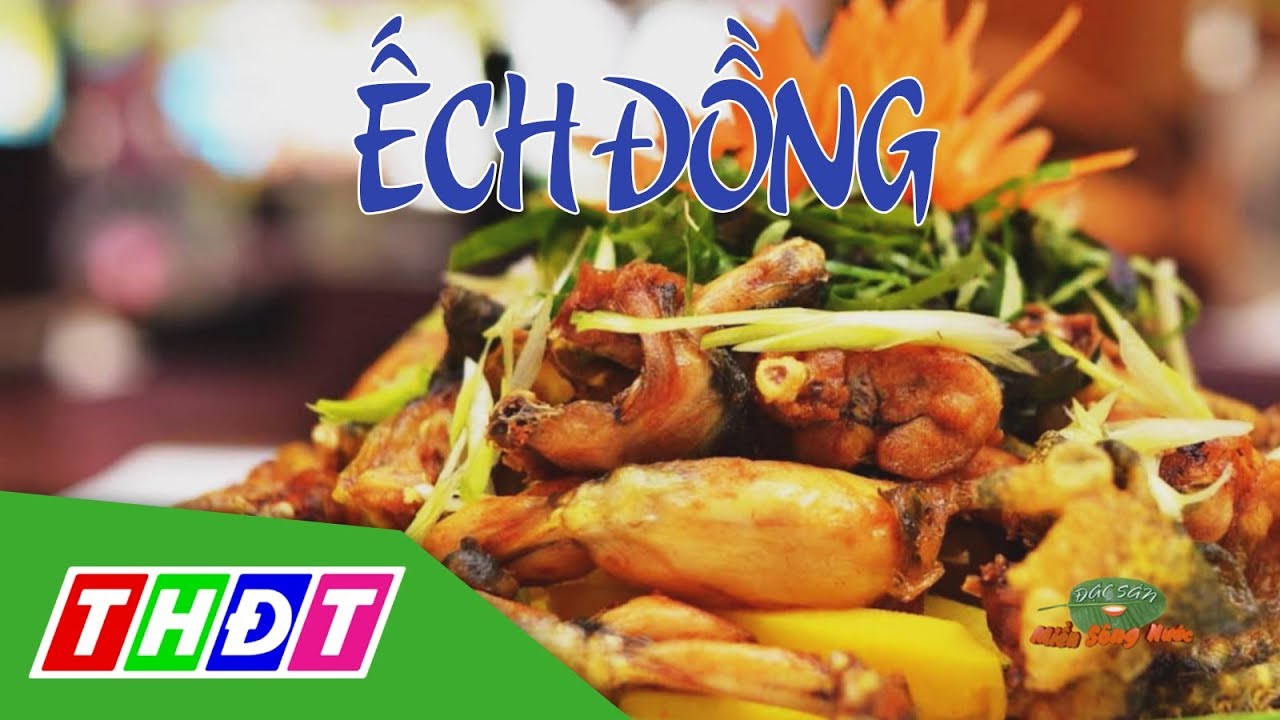Món ngon khó cưỡng từ ếch đồng | Đặc sản miền sông nước | THDT