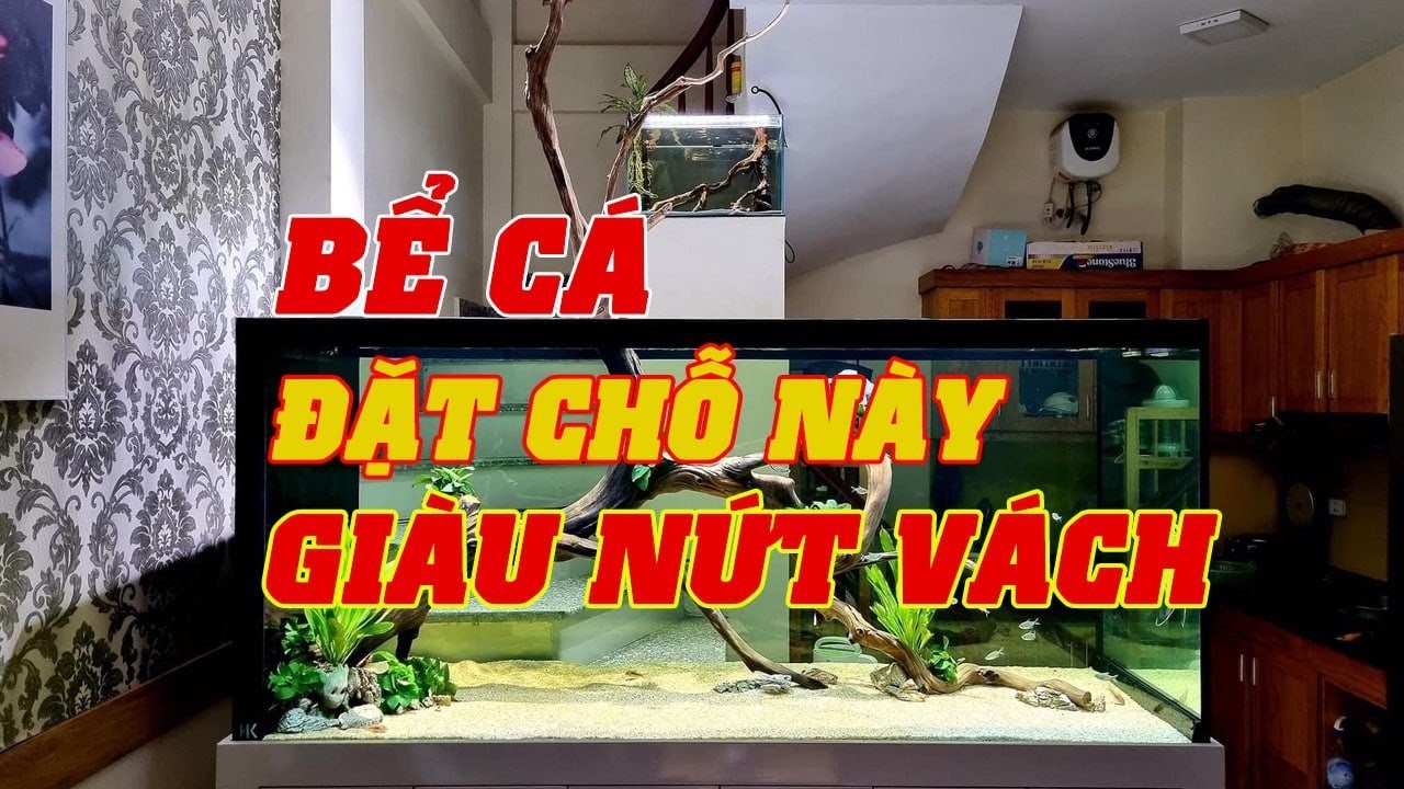 Nuôi Cá Cảnh Cứ Đặt Bể Cá Chỗ Này TIỀN CỦA ẦM ẦM KÉO ĐẾN Gia Chủ Vượng Phát 3 Đời Không Hết Của