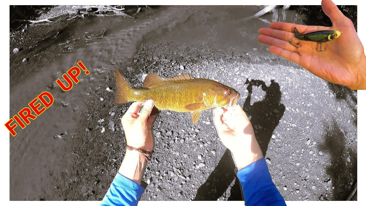 Creek Fishing for Bass with the Whopper Plopper