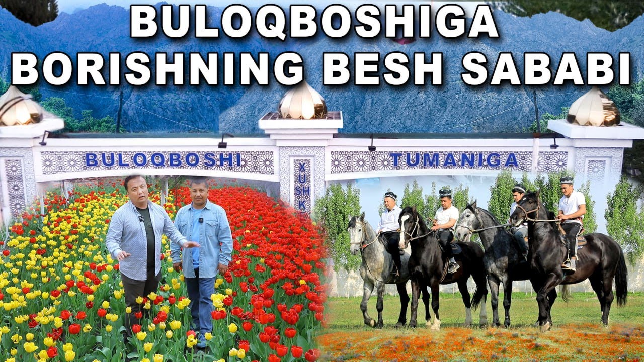 Buloqboshiga sayohat qilish uchun besh sabab