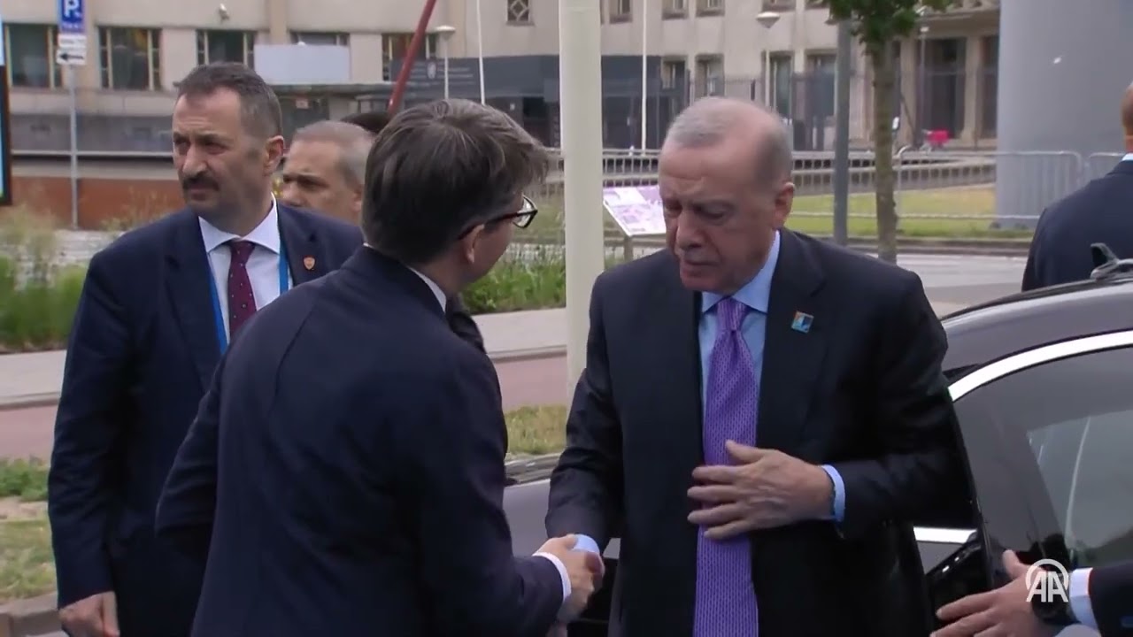 Turkish President Erdogan in The Hague for NATO summit