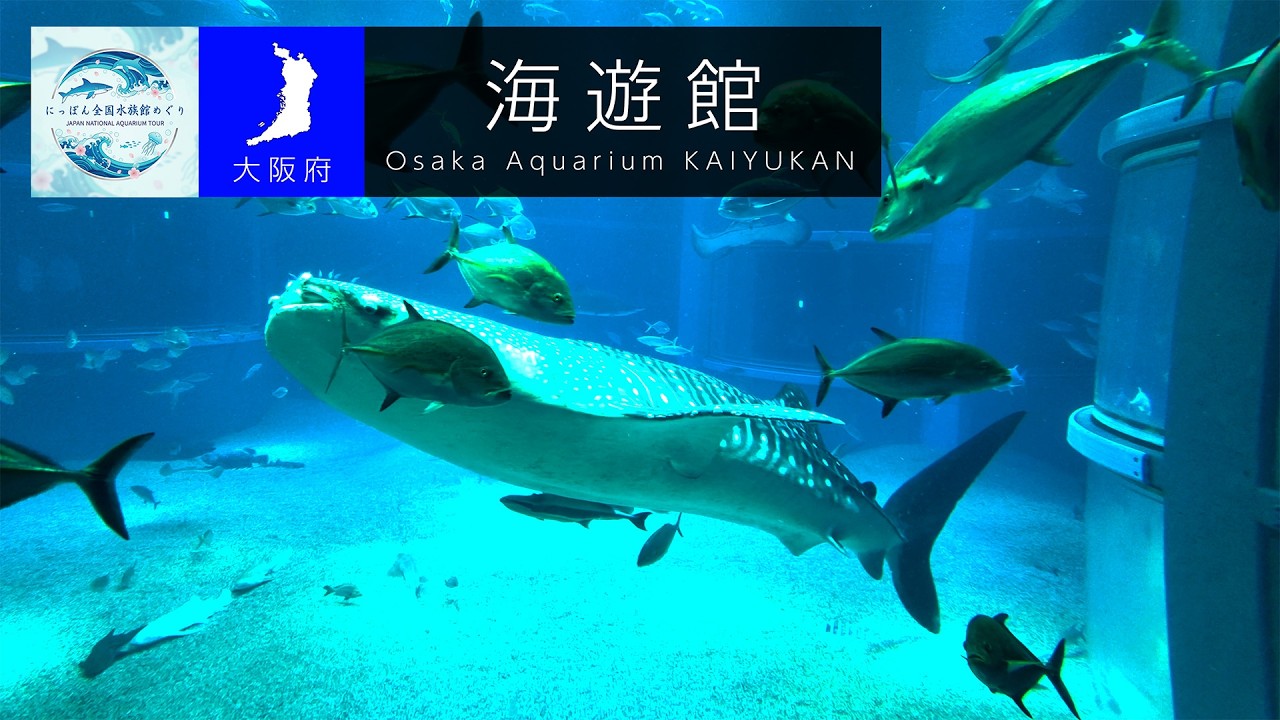 世界が誇るなにわの海の交流拠点　海遊館【にっぽん全国水族館めぐり #1】（新）