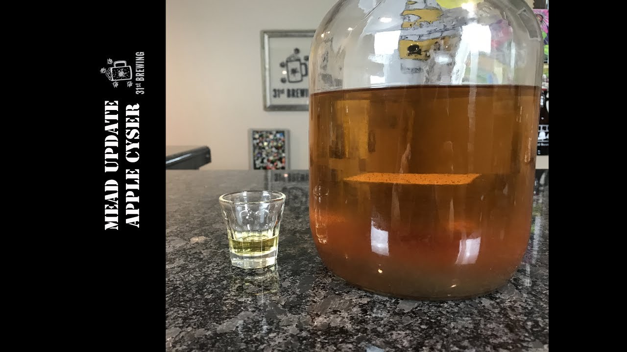 Mead Update Apple Cyser Tasting 2017